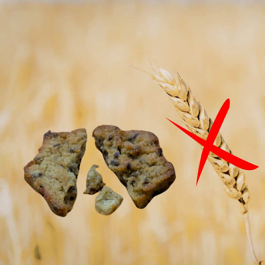 différence entre intolérance au gluten et maladie cœliaque — guide complet