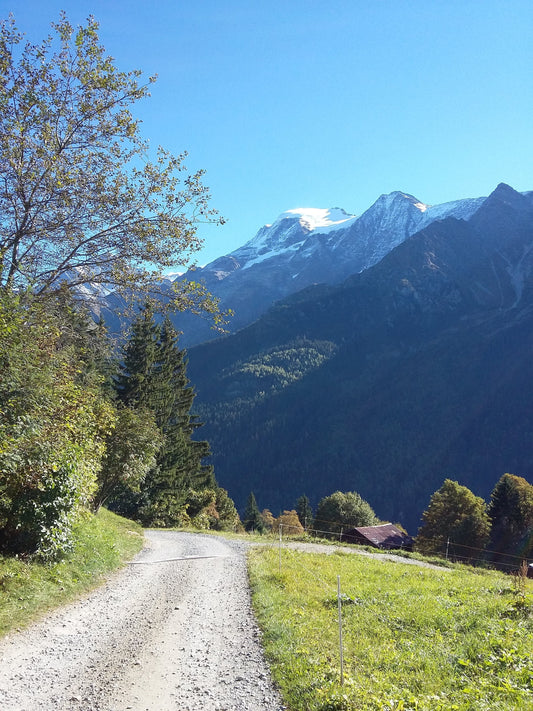 produits artisanaux locaux de Haute-Savoie — biscuits, fromages et spécialités alpines