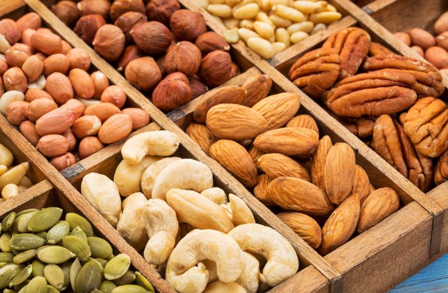 comparatif oléagineux amande noisette cajou — lequel choisir selon ses besoins nutritionnels