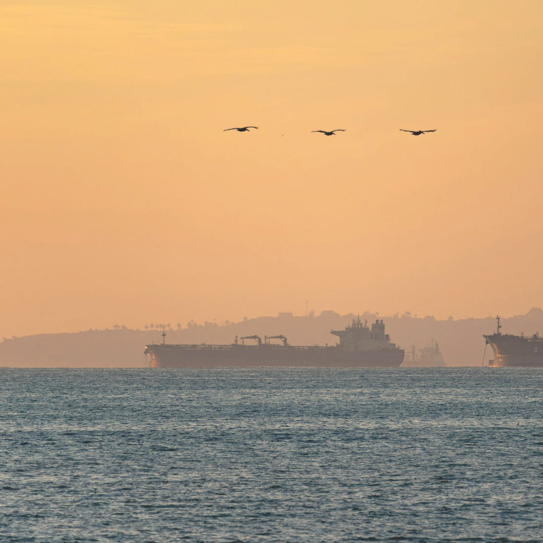 Comment une guerre peut changer le prix de votre biscuit