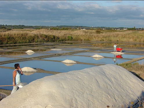 marais salan avec tas de sel récolté depuis l'eau de mer