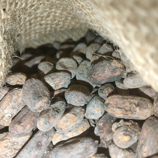 bienfaits du cacao cru — ce que dit la science sur
les flavonoïdes, le magnésium et les antioxydants
