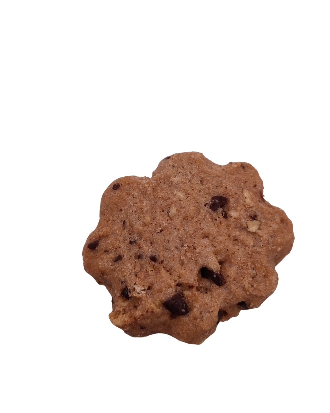 Zoom sur un cookie chocolat bio